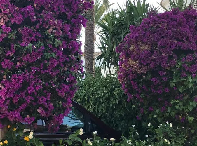 דירה Oasis Paradise