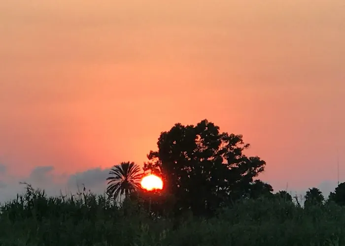 Oasis Paradise דירה