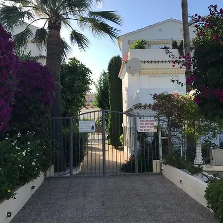Oasis Paradise