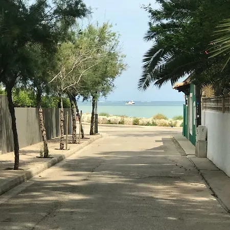 Oasis Paradise * Dénia