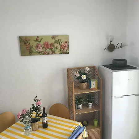 Oasis Paradise Apartment