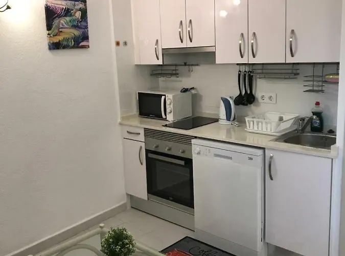 Apartamento Oasis Paradise