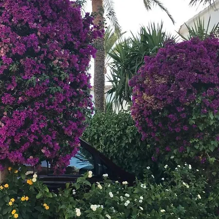 Apartment Oasis Paradise